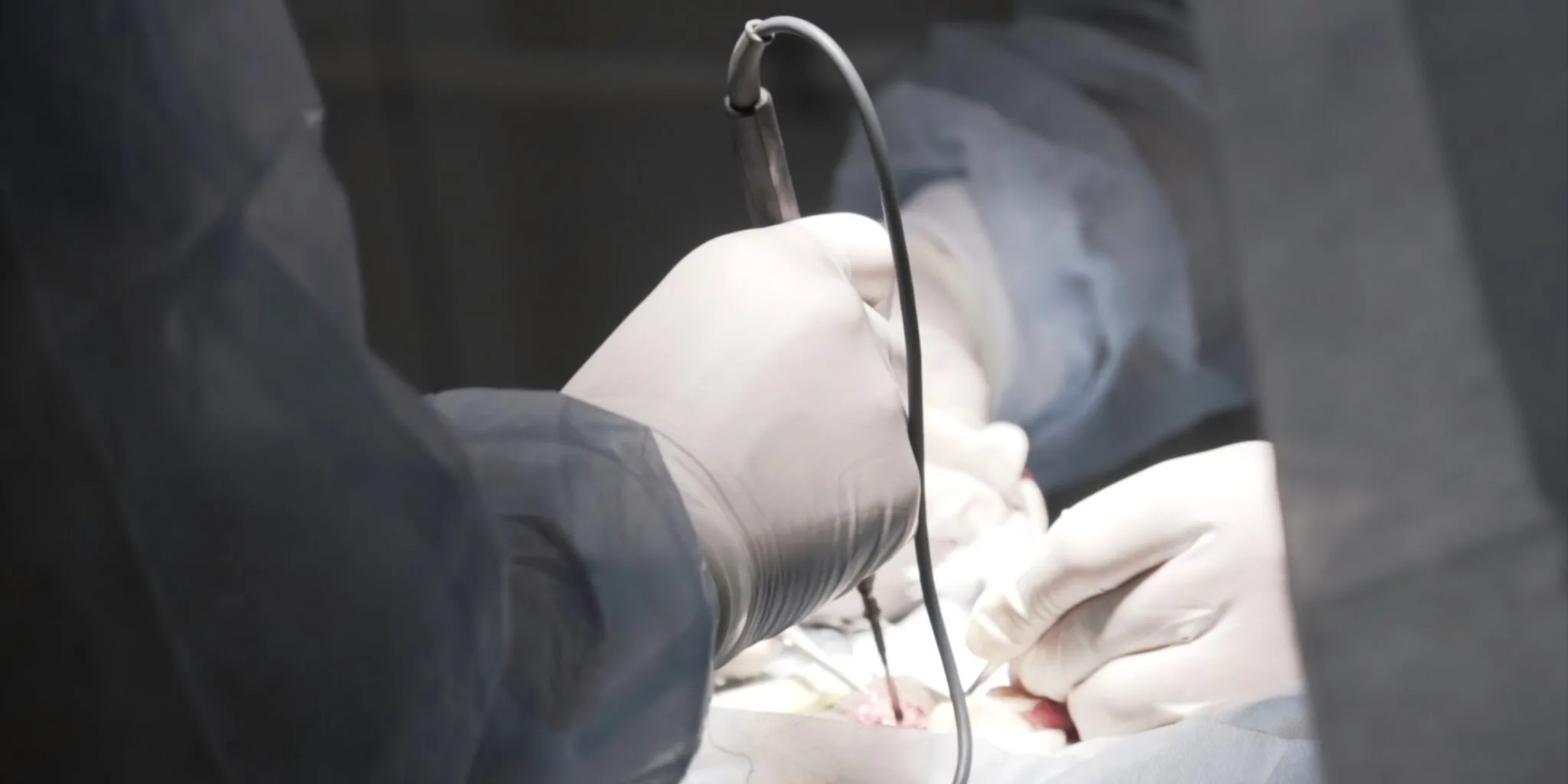Penis Reconstruction — hero image