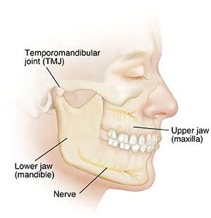 Jaw tumors