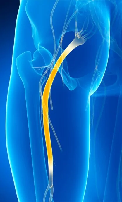 Untitled design (14) Untitled design (14)