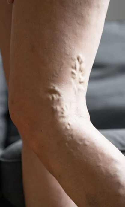 Untitled design (15) Untitled design (15)