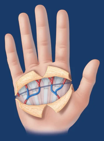 1-s2.0-S2468122919303664-gr14