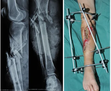 12891_2020_3894_Fig4_HTML 12891_2020_3894_Fig4_HTML