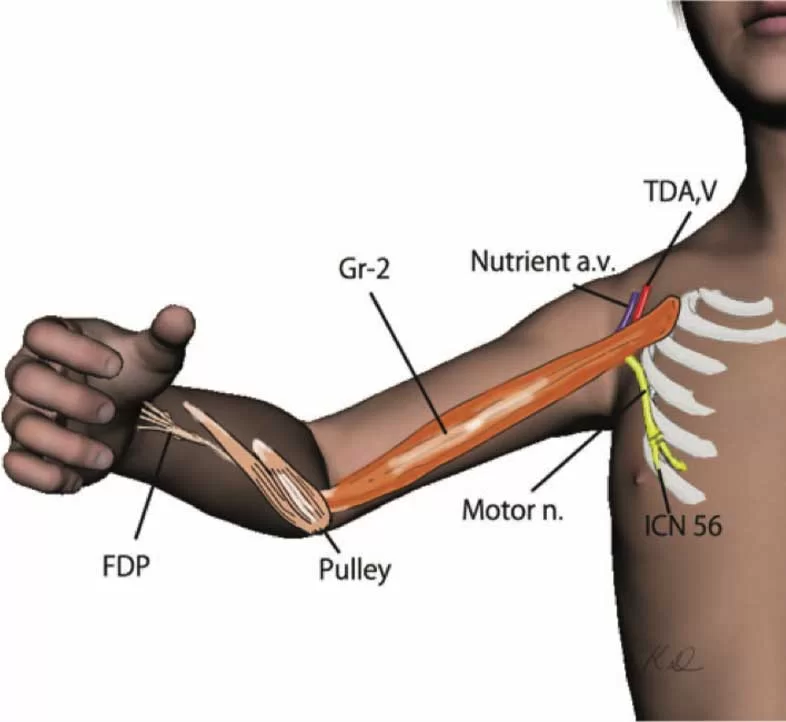 retalho-transferencia2